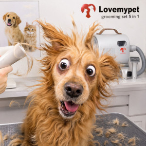 Пълен комплект за груминг и сешоар за домашни любимци LOVEMYPET 5in1, нов модел 2026- вакуум и сешоар в един компактен, тих и мощен уред